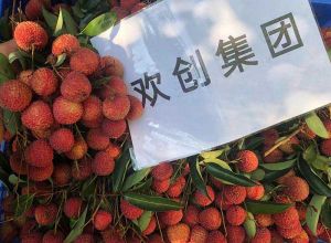 夏日好“枝”味，买大小球集团官网买大小球集团官网买大小球集团官网买大小球集团官网首页-买大小球(中国)-买大小球(中国)
集团发福“荔”啦