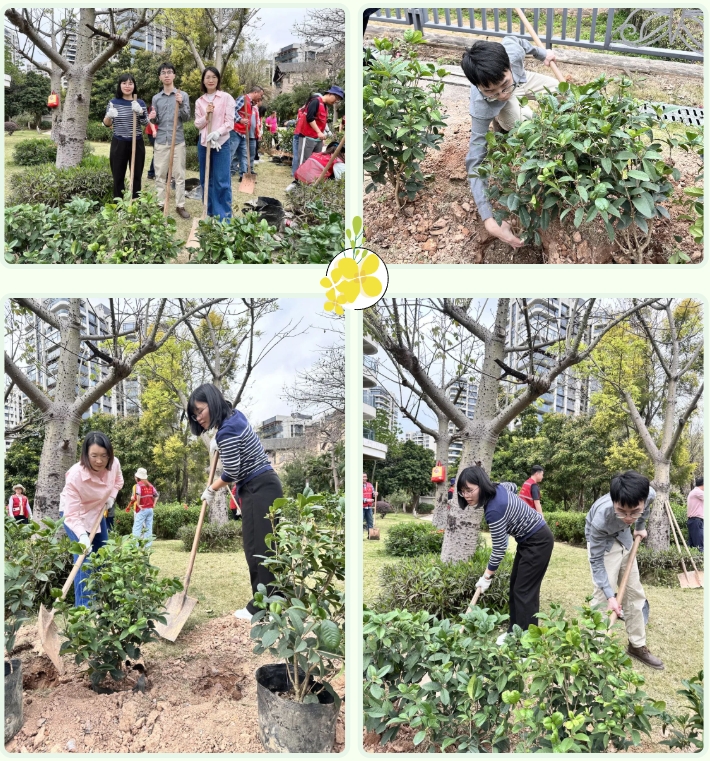 微信截图_20250313173830.png